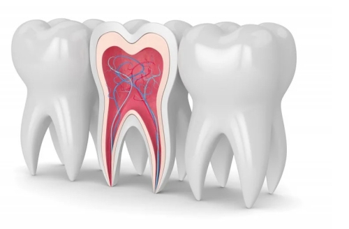 Men Răng Yếu: Dấu Hiệu Nhận Biết và Các Phương Pháp Phục Hồi Hiệu Quả